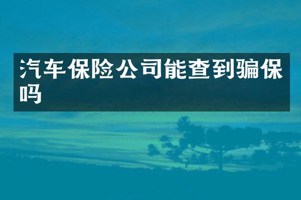 汽车保险公司能查到骗保吗