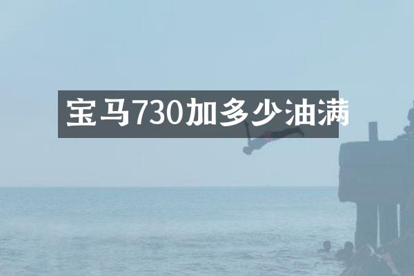 宝马730加多少油满