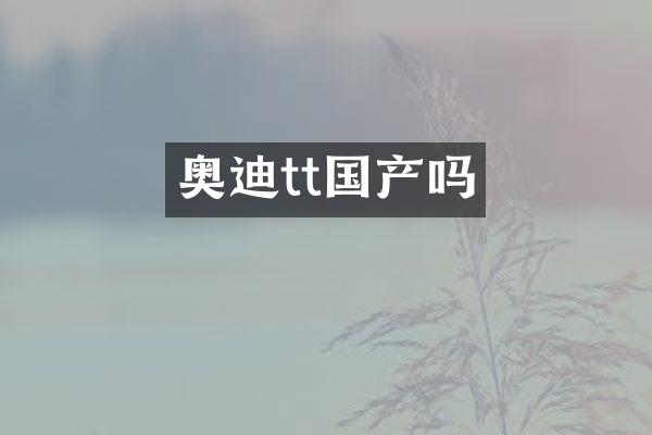 奥迪tt国产吗