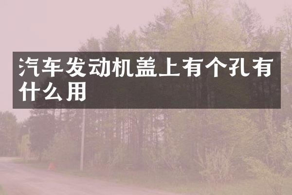 汽车发动机盖上有个孔有什么用