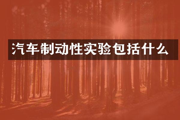 汽车制动性实验包括什么