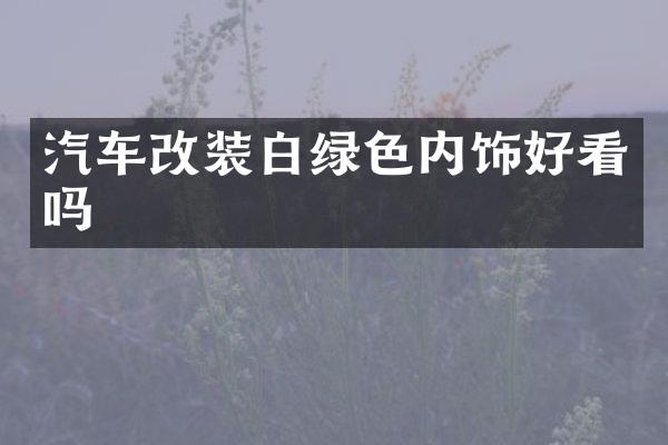 汽车改装白绿色内饰好看吗