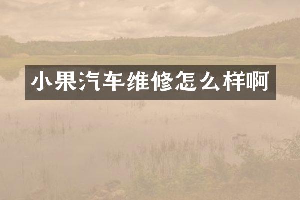 小果汽车维修怎么样啊
