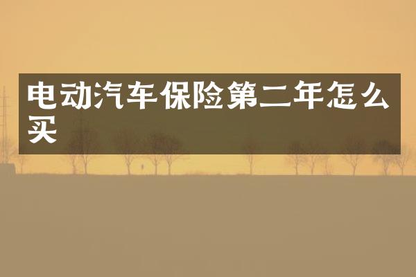 电动汽车保险第二年怎么买