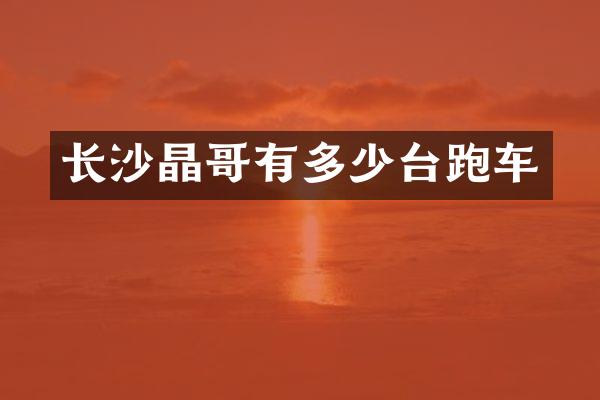 长沙晶哥有多少台跑车