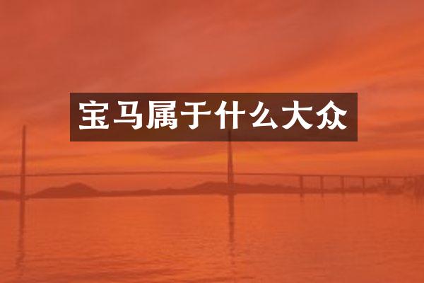 宝马属于什么大众