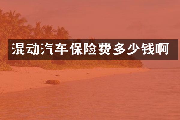 混动汽车保险费多少钱啊