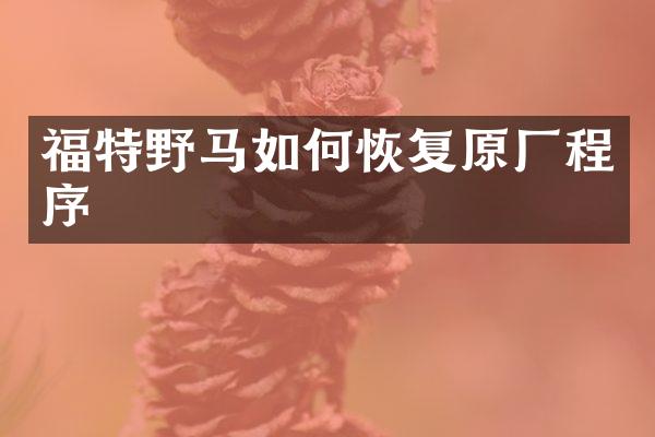 福特野马如何恢复原厂程序