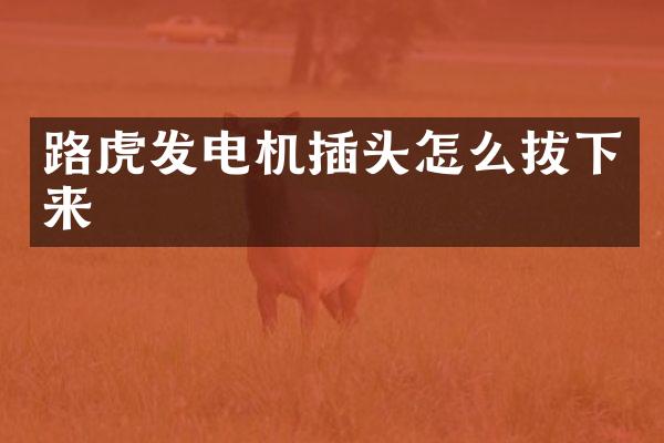 路虎发电机插头怎么拔下来
