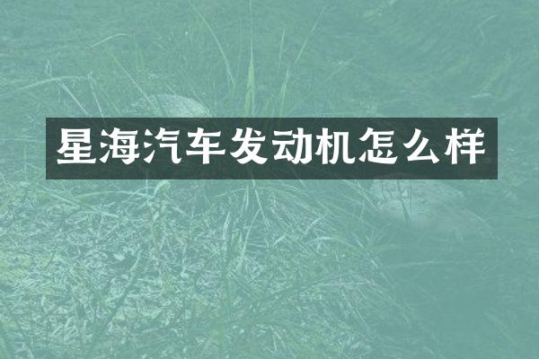 星海汽车发动机怎么样