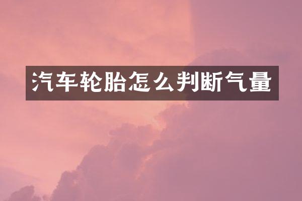 汽车轮胎怎么判断气量