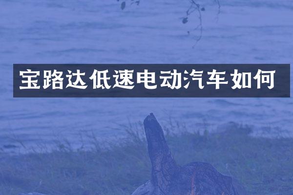 宝路达低速电动汽车如何