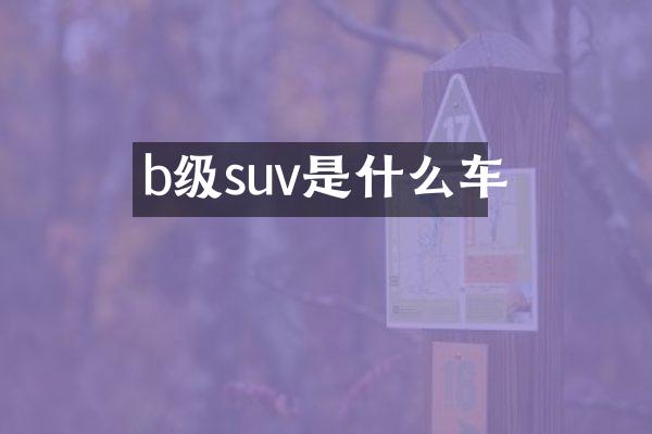 b级suv是什么车
