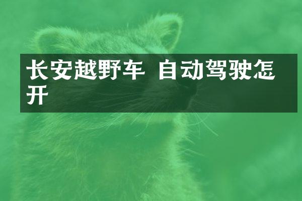 长安越野车 自动驾驶怎么开