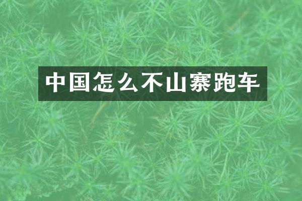 中国怎么不山寨跑车