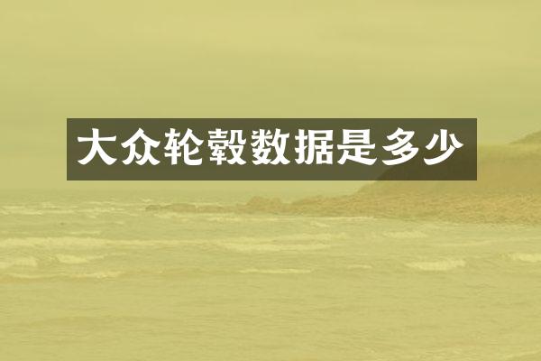 大众轮毂数据是多少
