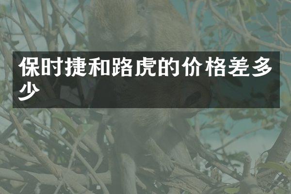 保时捷和路虎的价格差多少