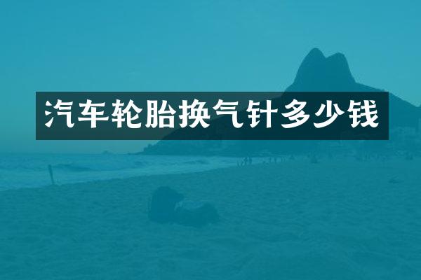 汽车轮胎换气针多少钱