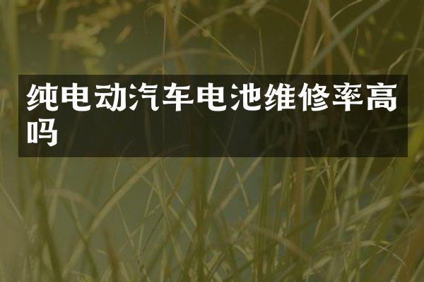 纯电动汽车电池维修率高吗