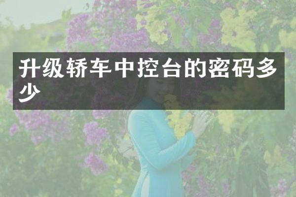升级轿车中控台的密码多少