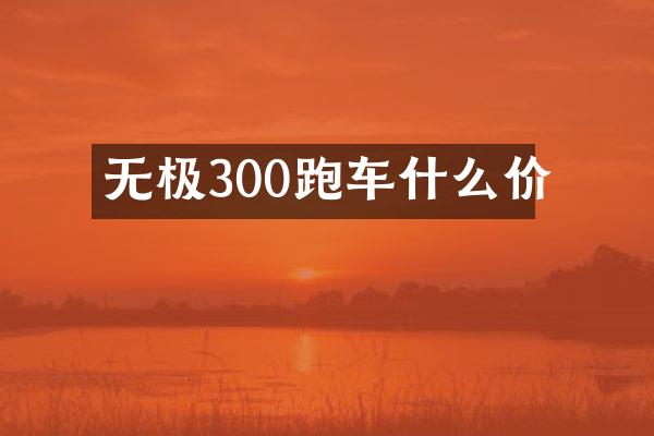无极300跑车什么价