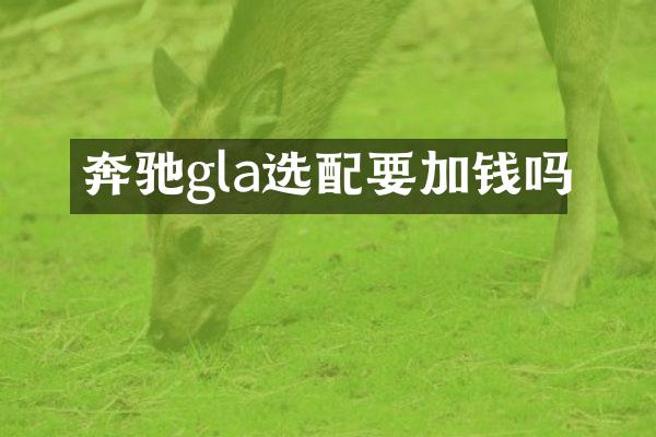 奔驰gla选配要加钱吗