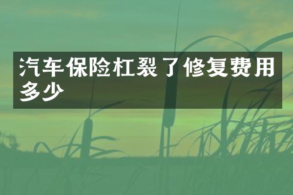 汽车保险杠裂了修复费用多少