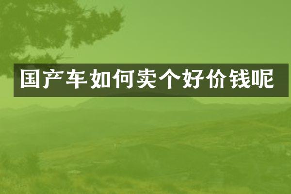 国产车如何卖个好价钱呢