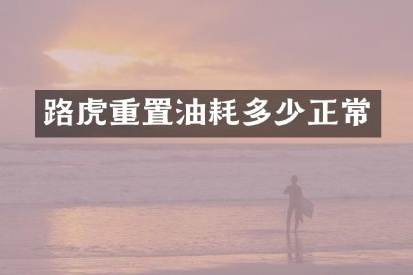 路虎重置油耗多少正常