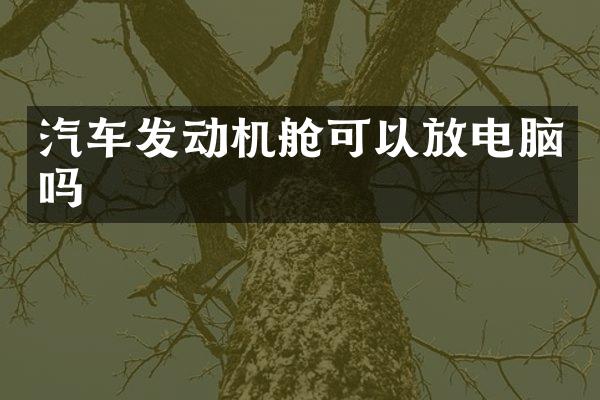 汽车发动机舱可以放电脑吗