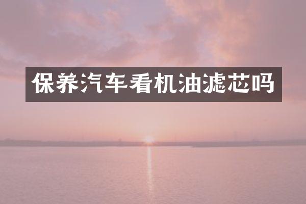 保养汽车看机油滤芯吗