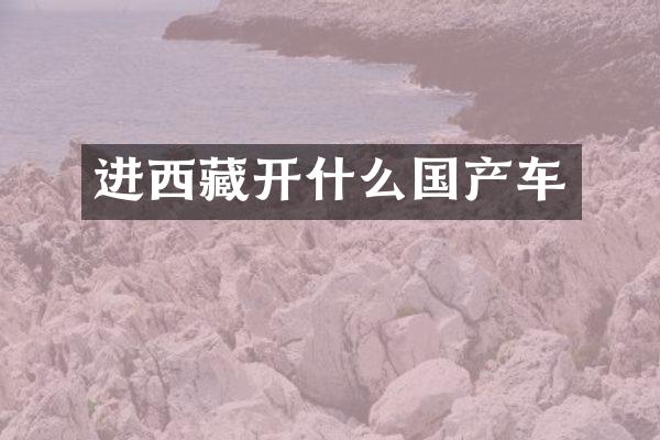进西藏开什么国产车