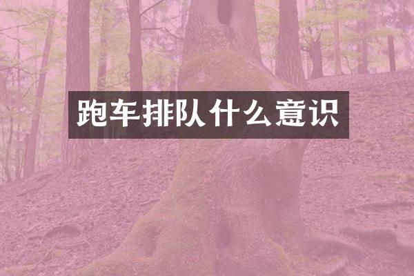 跑车排队什么意识