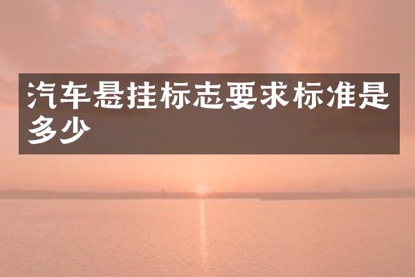 汽车悬挂标志要求标准是多少