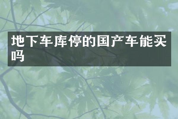 地下车库停的国产车能买吗