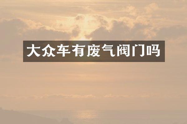 大众车有废气阀门吗