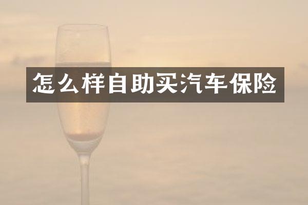 怎么样自助买汽车保险