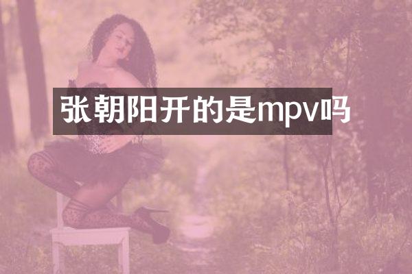 张朝阳开的是mpv吗