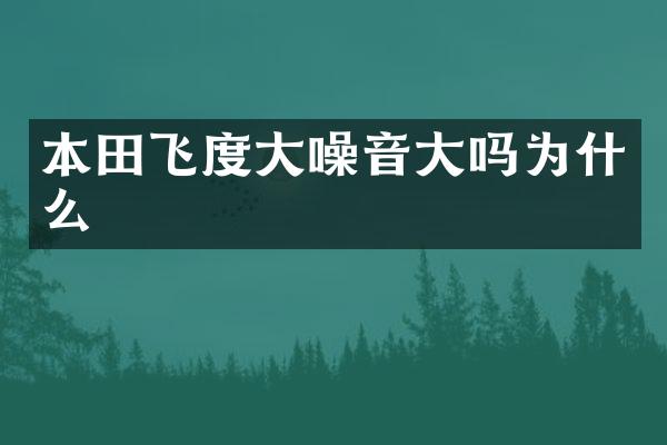 本田飞度大噪音大吗为什么