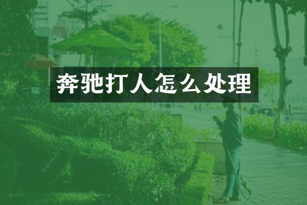 奔驰打人怎么处理