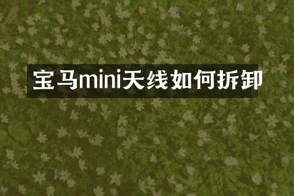 宝马mini天线如何拆卸