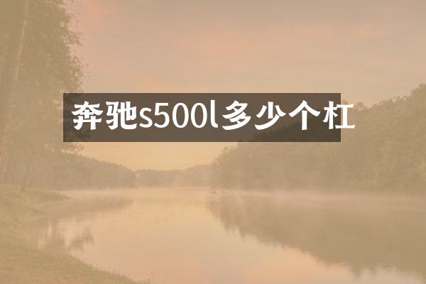 奔驰s500l多少个杠