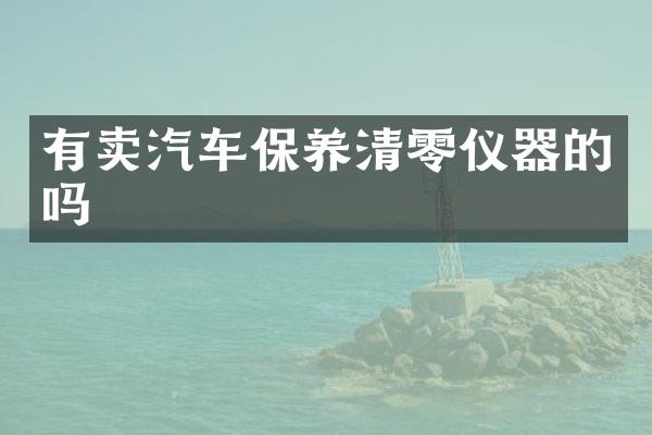 有卖汽车保养清零仪器的吗