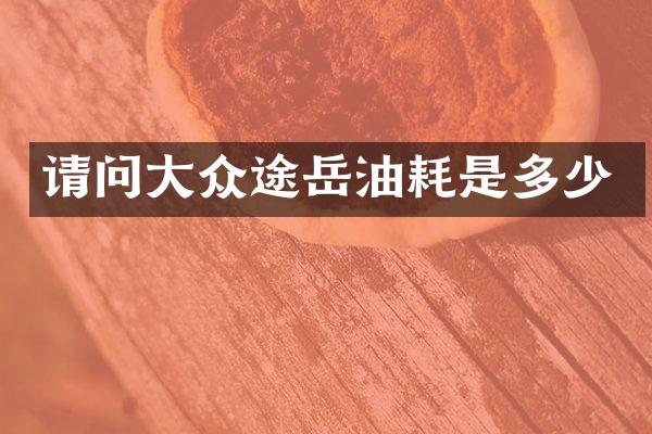 请问大众途岳油耗是多少