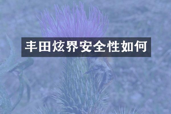 丰田炫界安全性如何