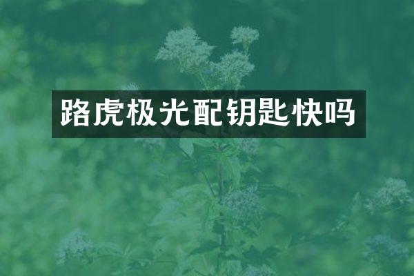 路虎极光配钥匙快吗