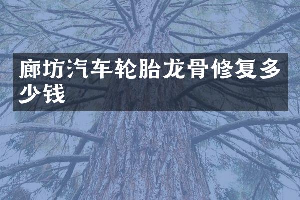 廊坊汽车轮胎龙骨修复多少钱