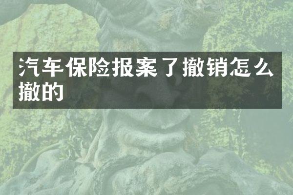汽车保险报案了撤销怎么撤的
