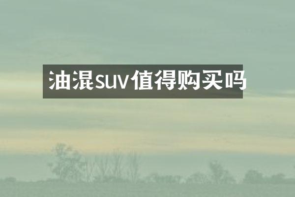 油混suv值得购买吗