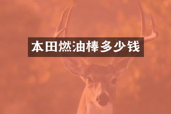 本田燃油棒多少钱